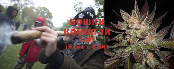 ГАЛЛЮЦИНОГЕННЫЕ ГРИБЫ Волосово