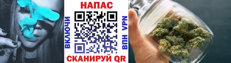 закладки  Жуков  Бошки Шишки планчик 